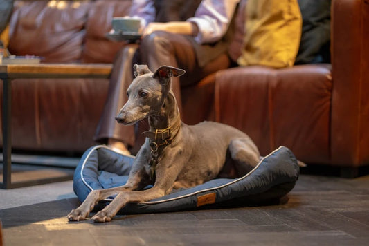 Branded Dog Bed